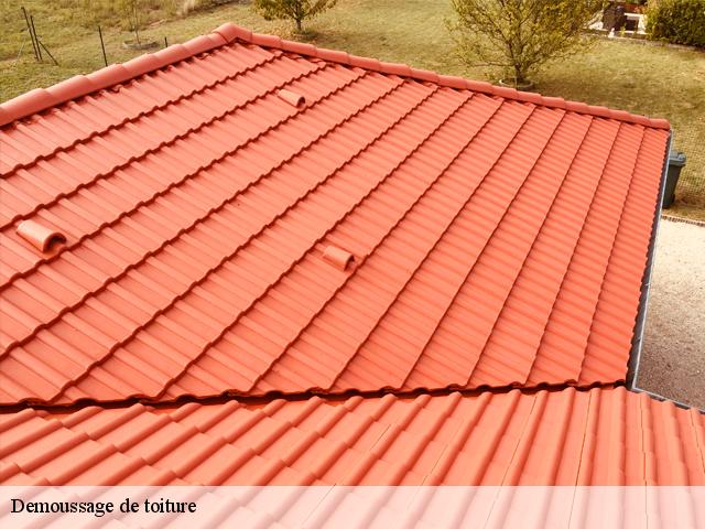Demoussage de toiture
