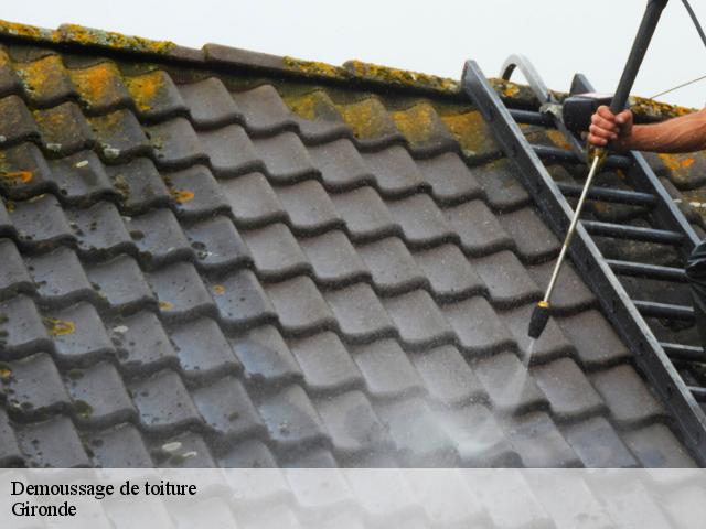 Demoussage de toiture Gironde