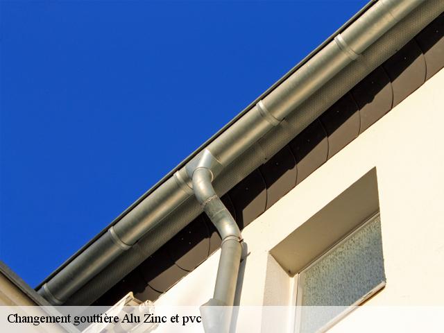 Changement gouttière Alu Zinc et pvc